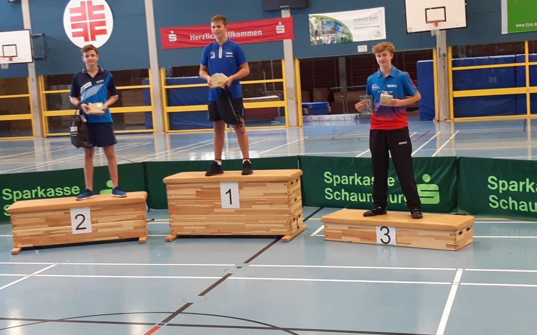 LÁSZLÓ MOHÁCSY HOLT SILBER