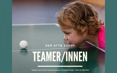 FESTANSTELLUNG TEAMER