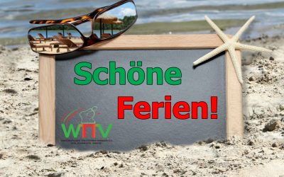 SCHÖNE SOMMERFERIEN!